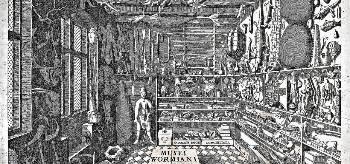 Cabinet of Curiosities